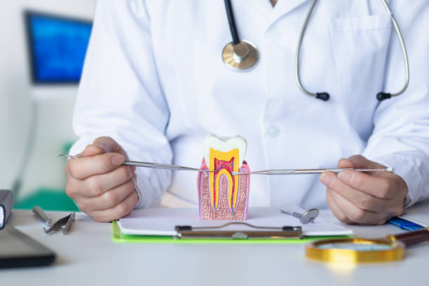 Best Emergency Tooth Extraction in Robbins, NC